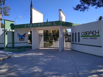 Juzgado federal ordena al Cobaeh permitir ingreso de alumno