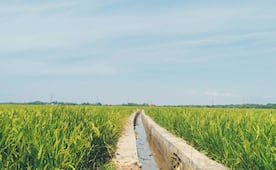 Hidalgo avanza en tecnificación del campo con más de mil 400 hectáreas niveladas