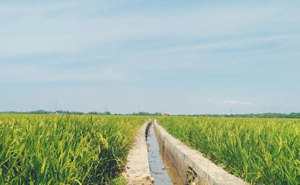 Hidalgo avanza en tecnificación del campo con más de mil 400 hectáreas niveladas