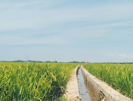 Avanzan 24% las obras de revestimiento de canales en distritos de riego de Hidalgo