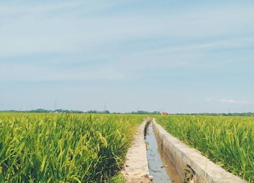 Avanzan 24% las obras de revestimiento de canales en distritos de riego de Hidalgo