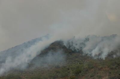 Suman 123 incendios forestales en Hidalgo con más de 2 mil hectáreas afectadas 