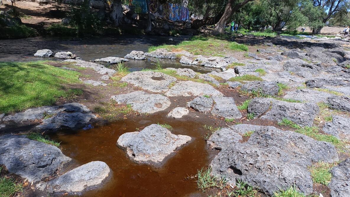 El manantial Los Cangrejos surte parte del agua al pozo de Ventoquipa en el municipio de Santiago Tulantepec  | Foto: Grisel Lira