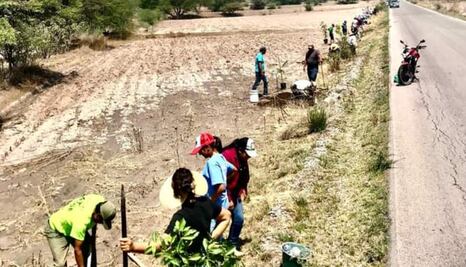 Comunidad de Chilcuautla aplica plan emergente de reforestación
