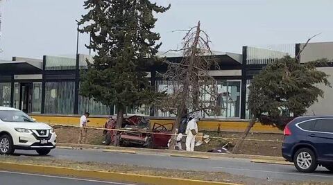 Fallece un hombre al estrellar su auto contra un árbol en Felipe Ángeles
