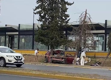 Fallece un hombre al estrellar su auto contra un árbol en Felipe Ángeles