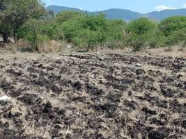 Productores de Alfajayucan deberán registrarse en Conagua para programa de nivelación de terrenos