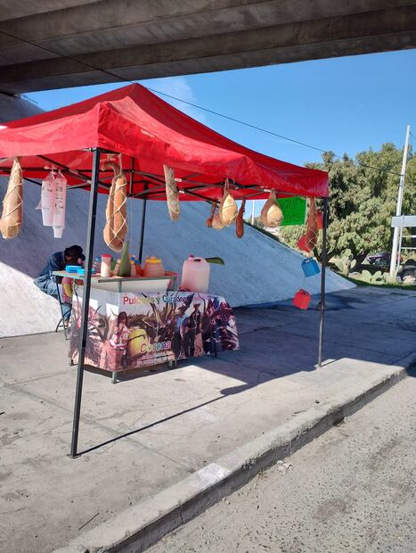 ¡Preservando la Tradición! La Familia detrás de "Curados Corona" y su pasión por el pulque | Foto: Especial