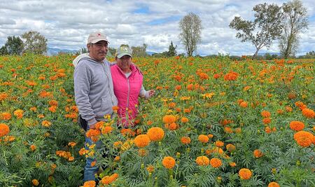 Festival de las Flores en Doxey, una tradición florece entre esfuerzo y aromas