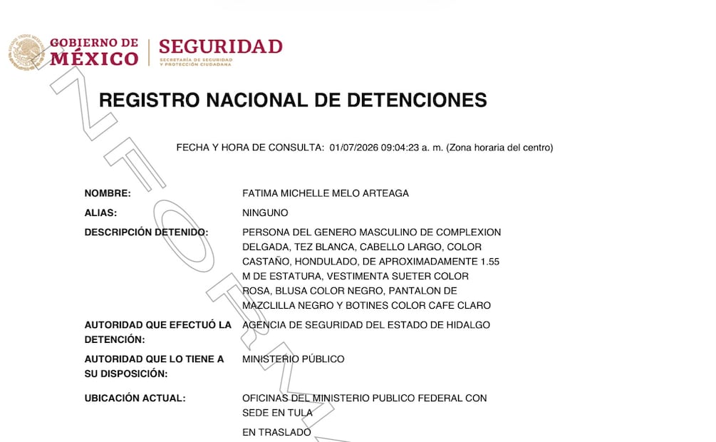 PVEM Hidalgo separa temporalmente a Michelle Melo tras su detención en Tetepango | Captura de pantalla