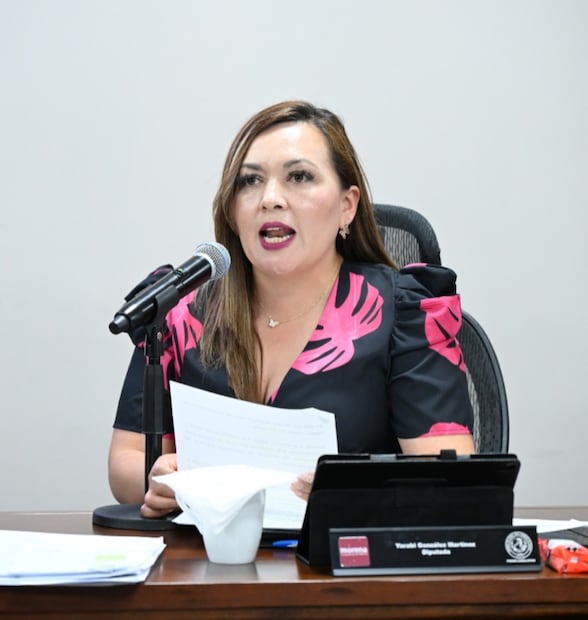 Proponen regular aplicaciones de reparto en Hidalgo y crear registro estatal obligatorio | Twitter: LXVI Legislatura de Hidalgo
