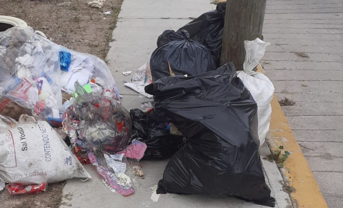 Foto: Erika Gutierrez