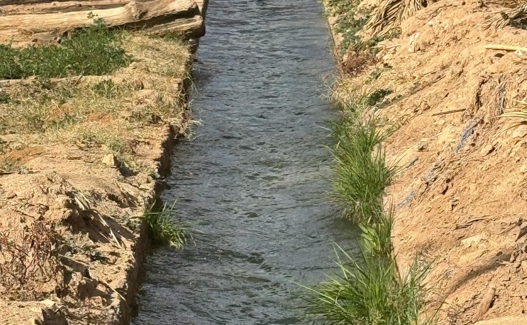 El 17 de diciembre de 2024 en Hidalgo se anunció el Programa Nacional de Tecnificación de Riego | Foto: Pexels