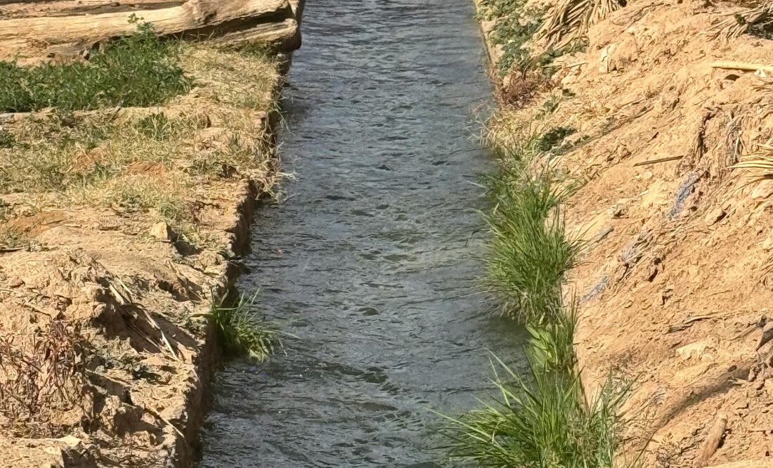 El 17 de diciembre de 2024 en Hidalgo se anunció el Programa Nacional de Tecnificación de Riego | Foto: Pexels