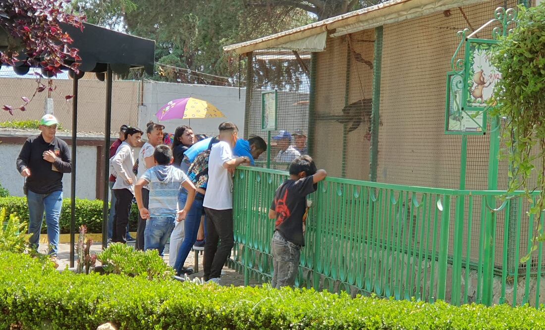 Foto: Ayuntamiento de Tulancingo