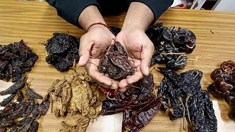 El chile rayado de la Sierra Gorda, una joya gastronómica que busca la ‘Denominación de Origen'