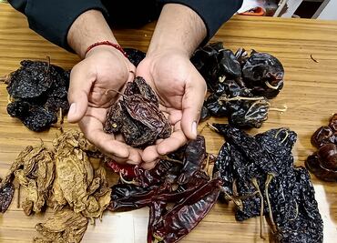 El chile rayado de la Sierra Gorda, una joya gastronómica que busca la ‘Denominación de Origen'