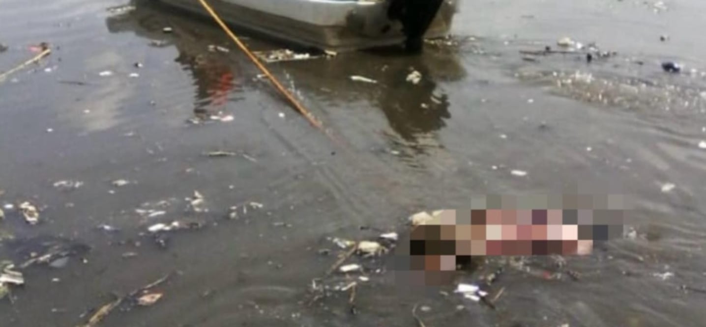 Otro hallazgo en la presa Endhó | Foto: especial