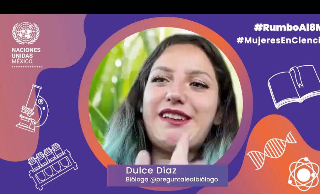 Foto: Toma de Video ONU México