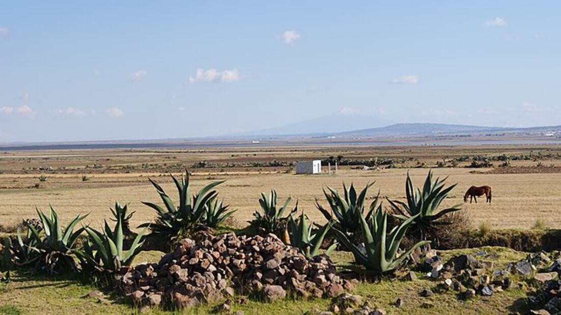 Llanos de Apan I Foto: Especial