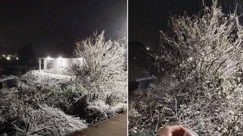 Video: Reportan caída de agua nieve en varios municipios de Hidalgo