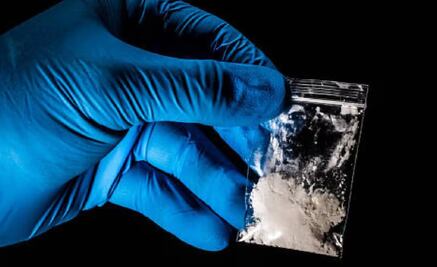 Cárteles mexicanos reclutan a estudiantes de química para producir fentanilo, asegura NYT; buscan crear una droga más fuerte y adictiva 