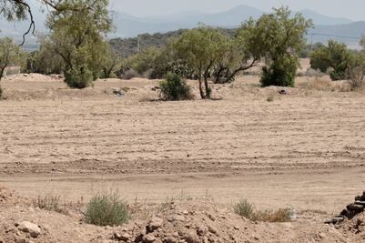 El 90% de las unidades agrícolas de Hidalgo registró pérdidas por sequía