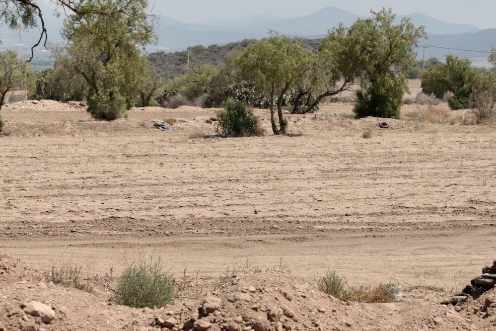 En 2022 la Unidad de Investigación en Alimentación y Desarrollo (CIAD) localizada en Hidalgo, estimó que un total de 190 mil hectáreas se perdieron por la sequía, pero no todas alcanzan la dimensión de una hectárea por lo que hay productores que no pueden acceder al seguro de gastos catastróficos.