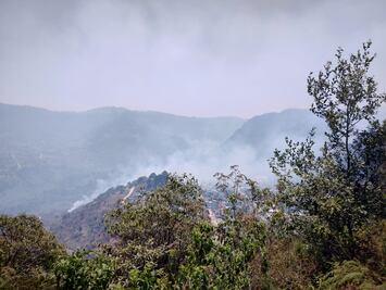 Acaxochitlán el municipio con mayor incidencia de incendios forestales