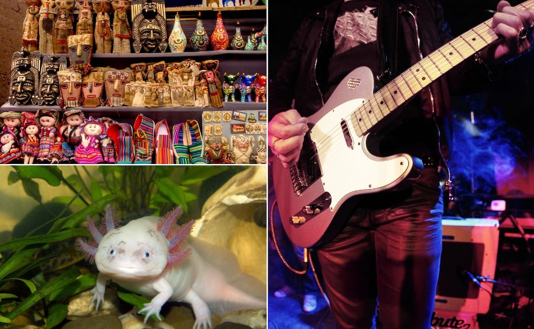 Imágenes ilustrativas