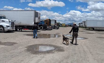 Aseguran predio en Tizayuca Hidalgo con 38 automotores 73 cajas secas y diversos vehículos 