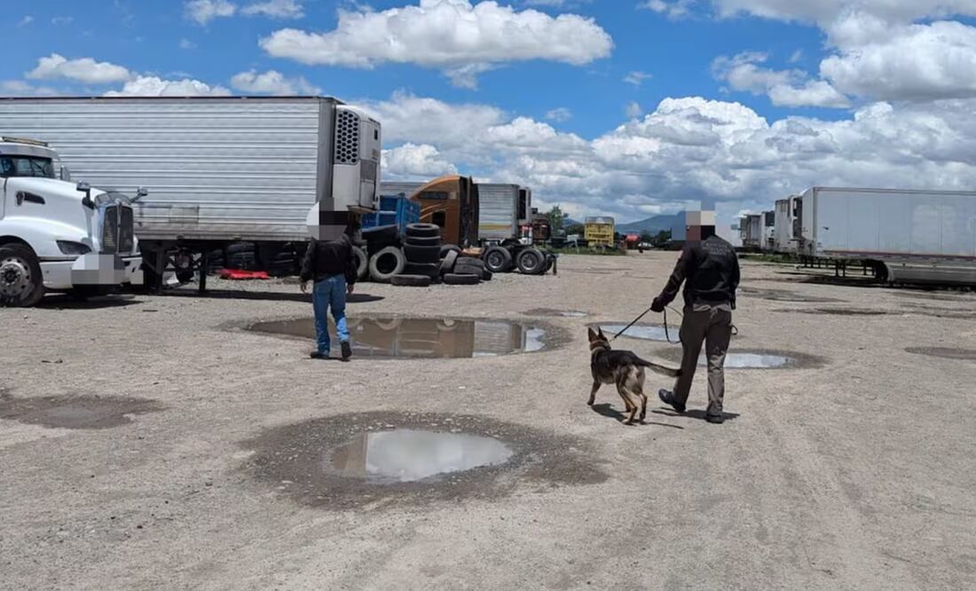 Elementos de la Guardia Nacional y de la policía estatal aseguraron la zona, en tanto que el predio y los automotores quedaron bajo resguardo de las autoridades federales. Foto: Especial