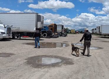 Aseguran predio en Tizayuca Hidalgo con 38 automotores 73 cajas secas y diversos vehículos