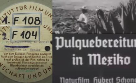 Hitler, un amante del pulque hidalguense