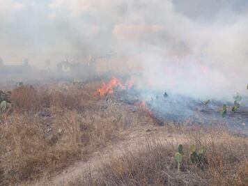 Incendio de pastizal en avenida Felipe Ángeles genera densa nube de humo