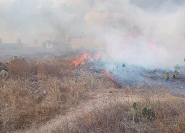 Incendio de pastizal en avenida Felipe Ángeles genera densa nube de humo