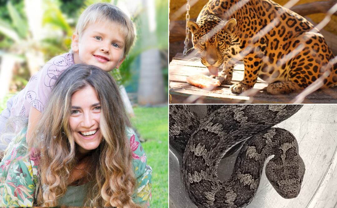 ¡Celebra el Día de las Madres con una experiencia única! Foto: Neirfy | Facebook: Unidad de Rehabilitación de Fauna Silvestre Pachuca