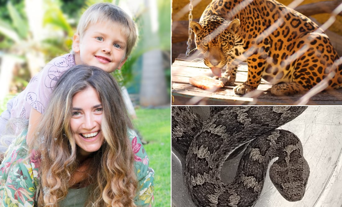 ¡Celebra el Día de las Madres con una experiencia única! Foto: Neirfy | Facebook: Unidad de Rehabilitación de Fauna Silvestre Pachuca