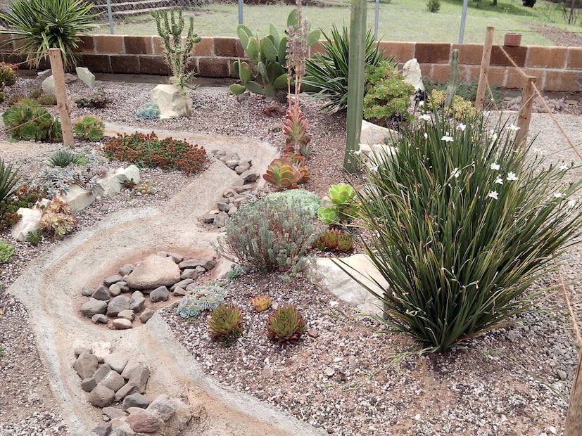 Una experiencia para los sentidos en Real del Monte; explora el Parque Sensorial Jardines y Puentes Colgantes | Facebook: Parque Sensorial Jardines y Puentes Colgantes