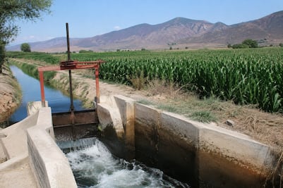 Casi 3 de cada 10 concesiones de agua en Hidalgo están vencidas: Conagua