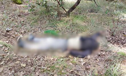 Localizan cuerpo sin vida de un hombre en camino de terracería en Santiago Tulantepec