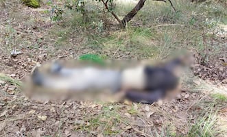 Localizan cuerpo sin vida de un hombre en camino de terracería en Santiago Tulantepec