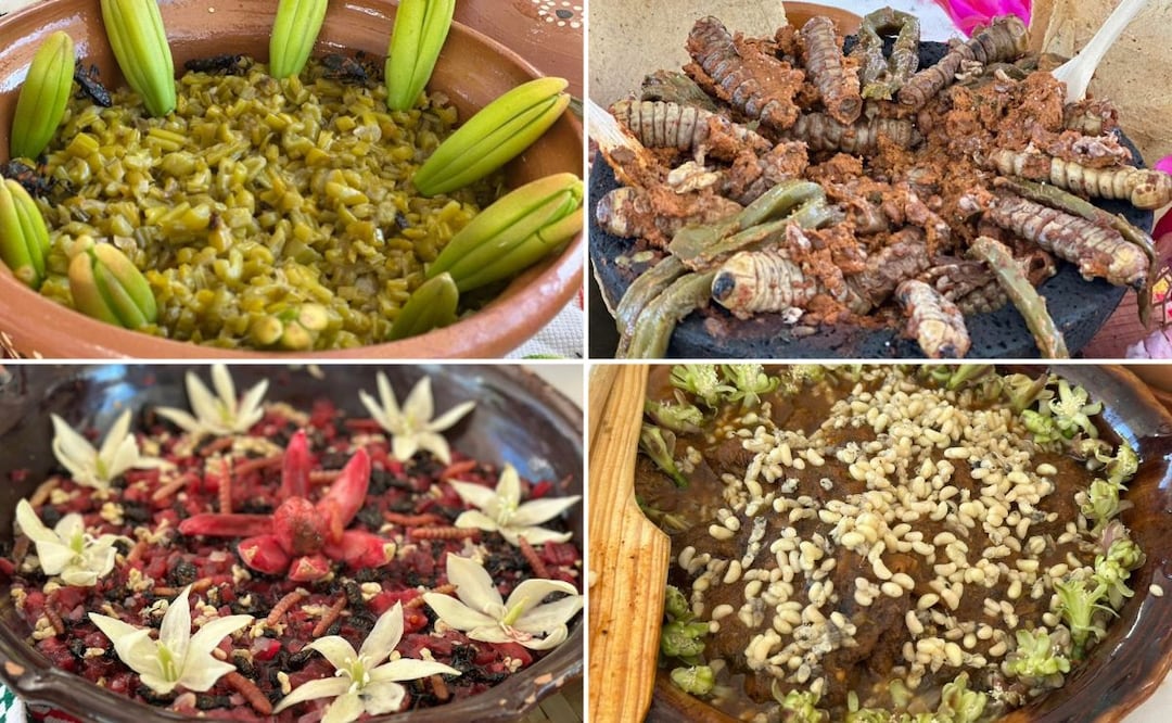 La tradicional muestra reúne cada año a alrededor de mil 500 cocineras y cocineros tradicionales y 30 mil visitantes | Facebook: Gobierno Municipal Santiago de Anaya, Hidalgo