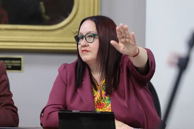 Descarta Tania Meza ruptura en bancada de Morena tras debates en Congreso