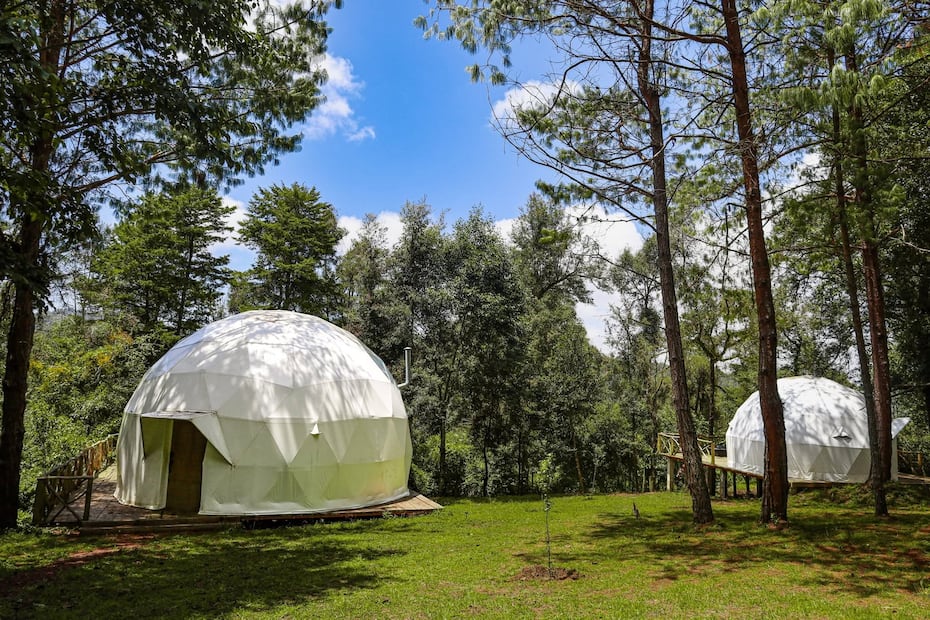 ¿Buscas una escapada cerca de Pachuca? Facebook: Hotel Bosque de los sueños Glamping & Resort