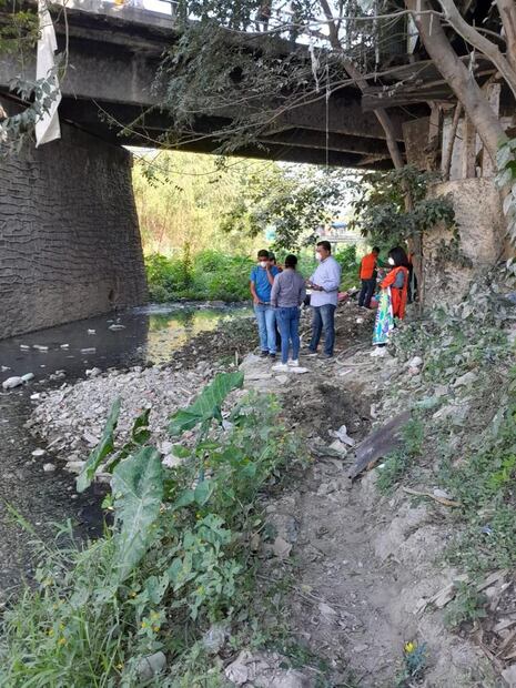 Ambientalistas y comerciantes rescatan tortugas de aguas negras | Foto: Especial