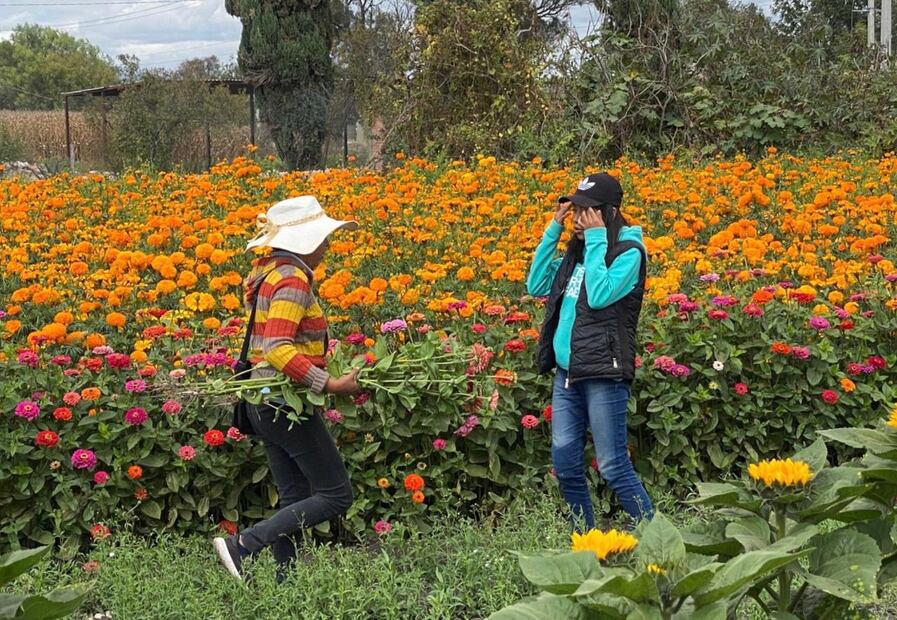 Festival de las Flores en Doxey, una tradición florece entre esfuerzo y aromas | Foto: Luis Soriano