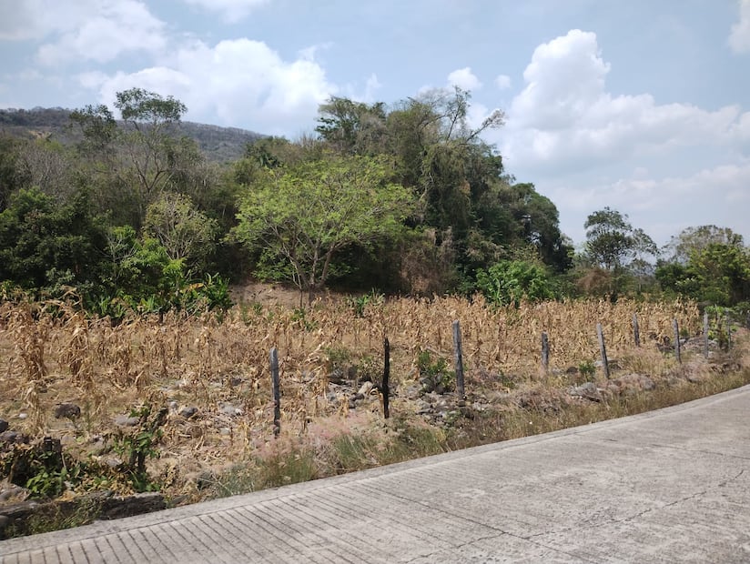 De acuerdo con el Servicio Meteorológico Nacional, la región Huasteca enfrenta condiciones de sequía moderada a severa, con precipitaciones por debajo de la media en lo que va de 2025 | Foto: Francisco Bautista