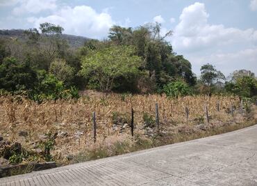 Sequía golpea cultivos en la Huasteca; agricultores pierden siembras de maíz