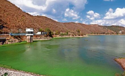 Presa Vicente Guerrero ya está al 31 % de su nivel; promedio estatal se encuentra en el 70 %